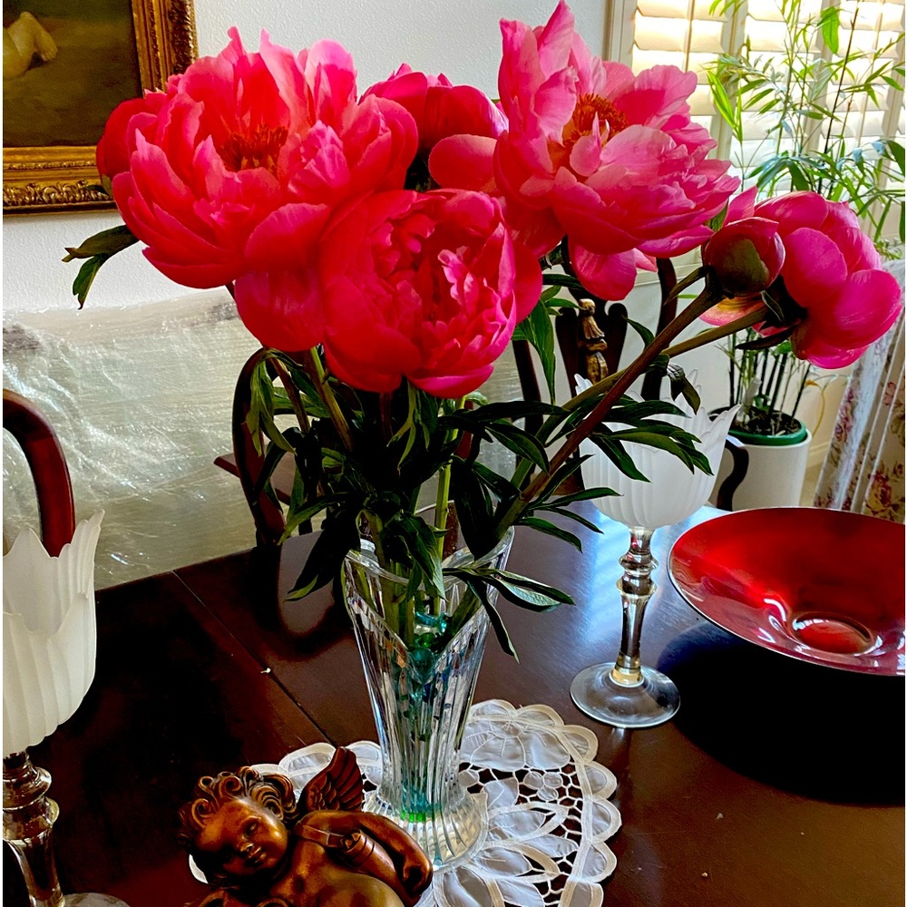 Meet your Posher, Penny